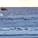 RON AREL | COASTAL IMAGES