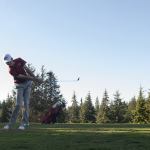 Grizzlies ace Bobcats