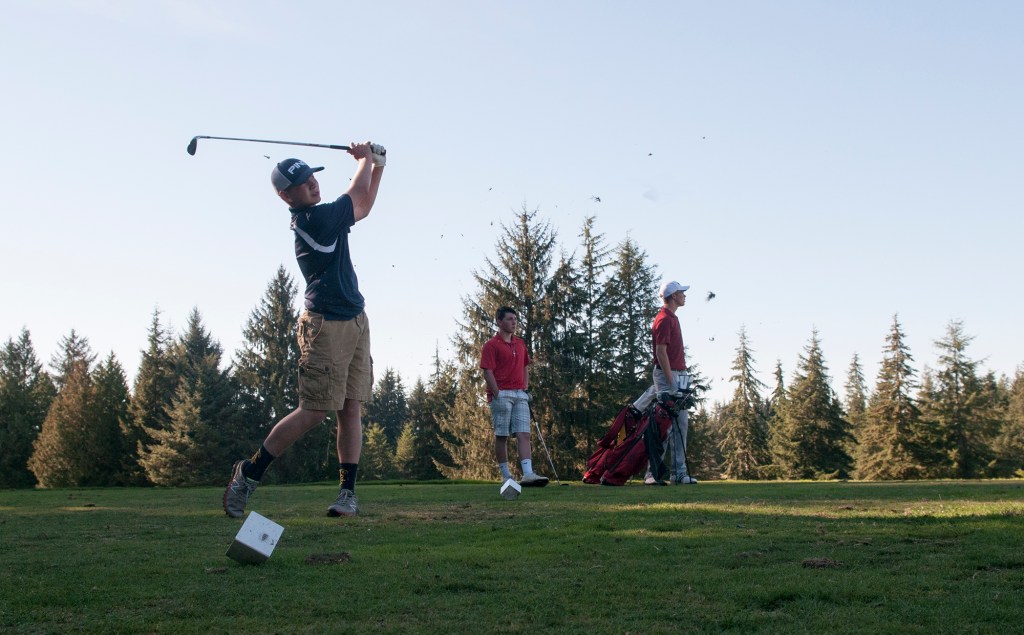 Grizzlies ace Bobcats