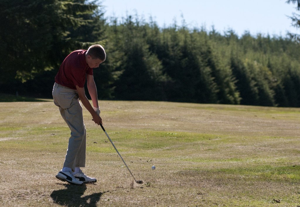 Grizzlies ace Bobcats