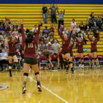Grizzlies rally to beat Bobcats in five sets