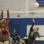Grizzlies rally to beat Bobcats in five sets