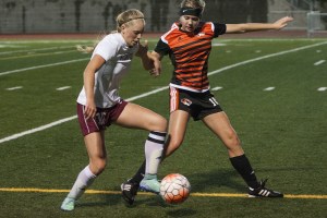 Bulldogs cage wily Tigers, 3-1