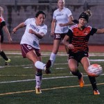 Bulldogs cage wily Tigers, 3-1