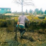Becky Mabardy/PCSGA                                With a little elbow grease, the Taylor Shellfish Farms-Broodstock Department battles to dispose rusted oyster gear and derelict rope into dumpsters at Bay Center on Willapa Bay.