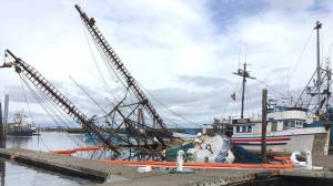 Fishing boat sinks at Westport Marina