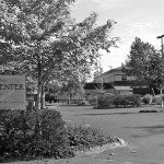 Shoalwater Bay Tribe awarded national Culture of Health prize