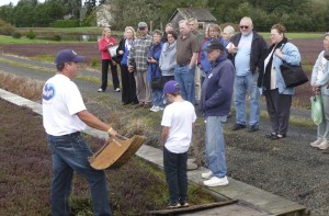 From left: You can buy freshly picked cranberries by the pound at the Cranberry Harvest Festival Marketplace. • The Grayland Community Hall and grounds will be filled with arts, crafts, edibles and terrific holiday gifts. • Don&rsquo;t miss the cranberry farms tour on Saturday.                                BARB AUE | SOUTH BEACH BULLETIN FILE BARB AUE | SOUTH BEACH BULLETIN FILE