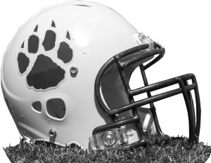 H.S. Grid Picks for Week 9: News, notes for the final regular-season week of football