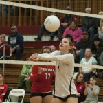 Grizzlies blast past Beavers