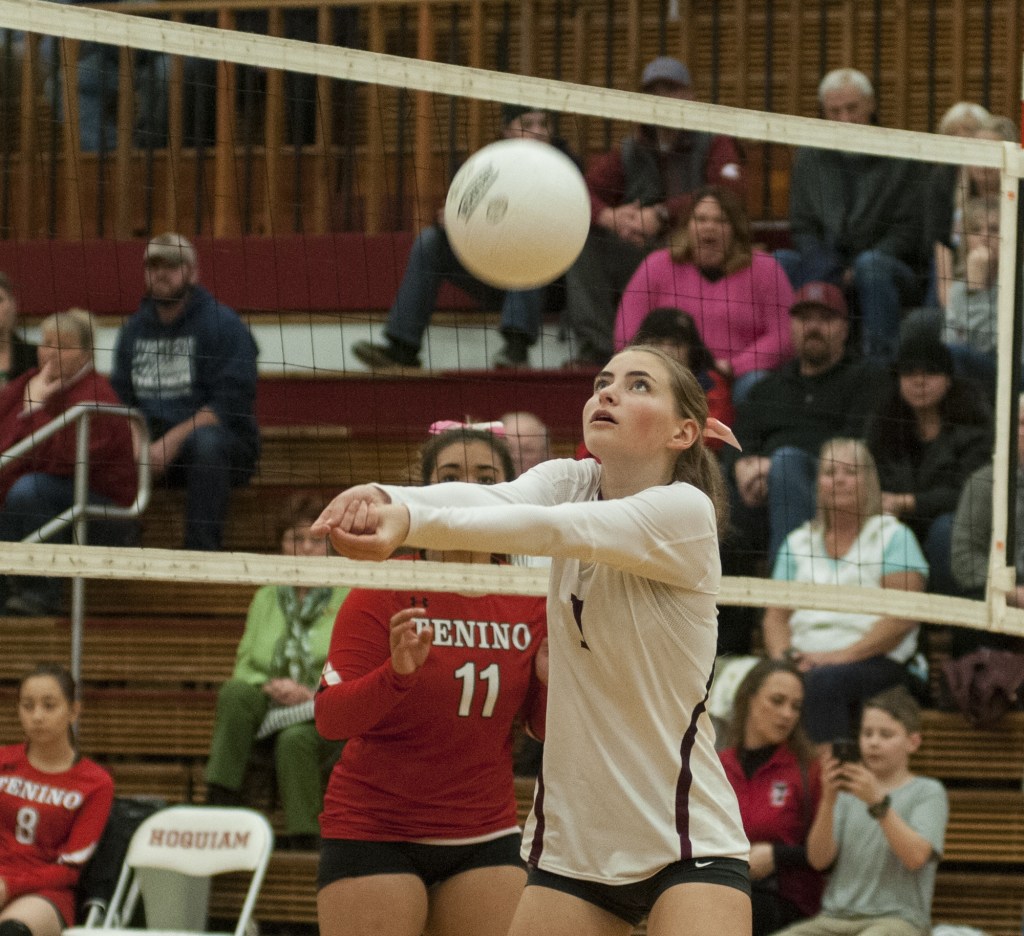 Grizzlies blast past Beavers