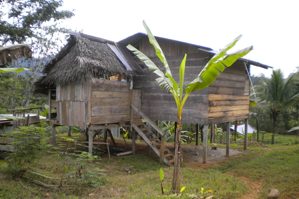 A story that can’t be told in 1,000 words