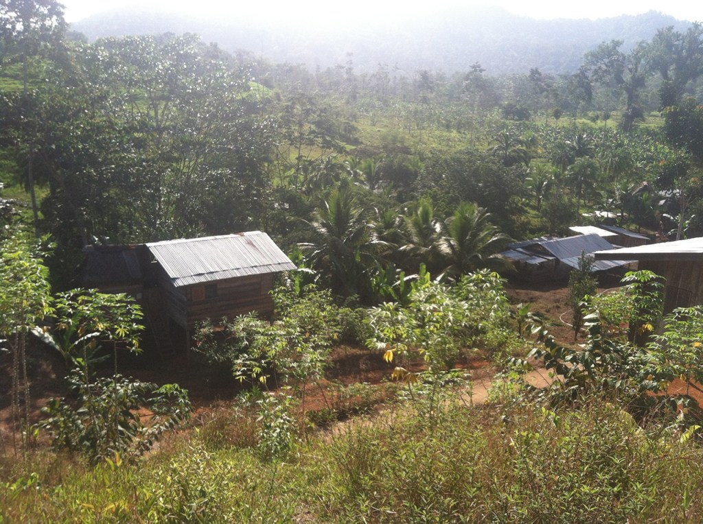 A story that can’t be told in 1,000 words