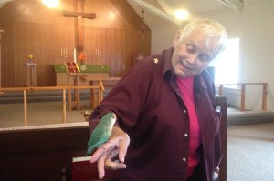 Giving thanks for furry friends