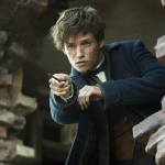 “Fantastic Beasts” is Quite a Find