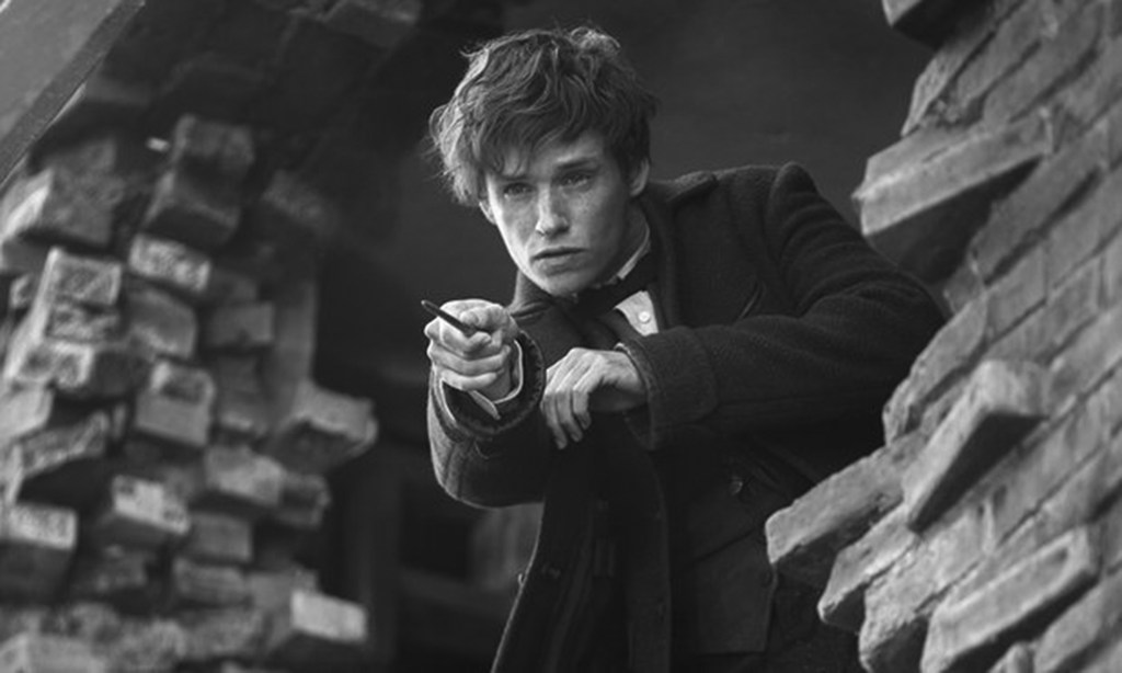 “Fantastic Beasts” is Quite a Find