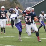 Titans take the skies to topple Vikings, 30-13