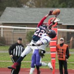 Titans take the skies to topple Vikings, 30-13