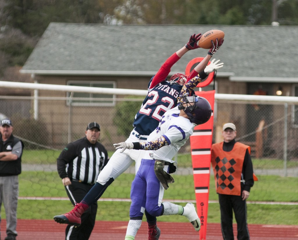 Titans take the skies to topple Vikings, 30-13