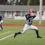 Titans take the skies to topple Vikings, 30-13