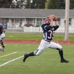 Titans take the skies to topple Vikings, 30-13