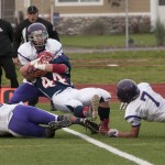 Titans take the skies to topple Vikings, 30-13