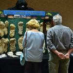 Darrell Westmoreland photo: The fourth annual Sasquatch Summit this weekend features cast footprints and other evidence at the Quinault Beach Resort and Casino.