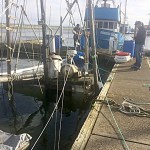 The 41-foot vessel Charlotte is surrounded by boom to contain possible pollutants after it sunk at the Westport Marina Friday. (Photo courtesy of the Incident Management Division)