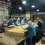 Congressman Derek Kilmer (back row on right) joined volunteers at the Coastal Harvest warehouse in Hoquiam Tuesday morning, bagging up hundreds of pounds of corn for the 40 feeding programs Coastal Harvest serves. State Representative Brian Blake joined in later in the morning. DAN HAMMOCK THE DAILY WORLD
