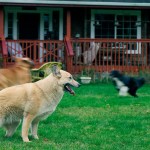 Friends helping “Sunshine” to a brighter future