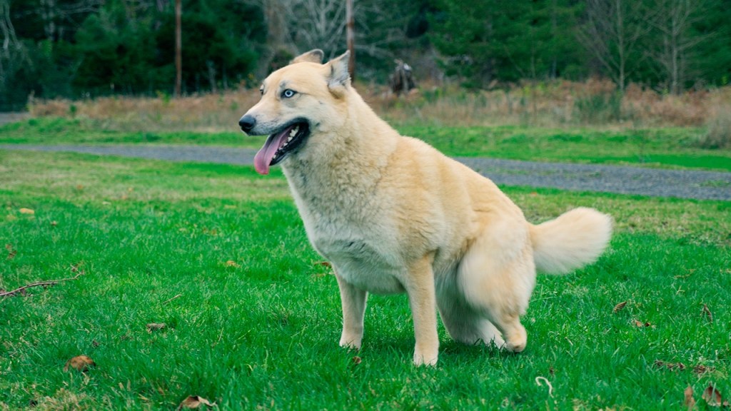 Friends helping “Sunshine” to a brighter future