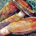 NO CLAM DIGS on Twin Harbors beaches this weekend