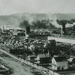 ROY VATAJA COLLECTION