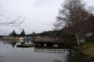 Updated flood ordinance aims to reduce insurance costs