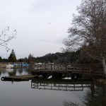 Updated flood ordinance aims to reduce insurance costs