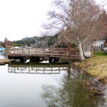 Updated flood ordinance aims to reduce insurance costs