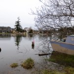 Updated flood ordinance aims to reduce insurance costs