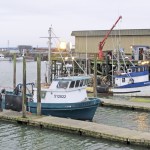Activity at the Westport Marina ramped up well before dawn Saturday, as crabbers finished loading their pots, topped off fuel tanks and headed out to sea. BARB AUE | SOUTH BEACH BULLETIN