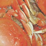 Fresh Dungeness crab will become scarce and pricey as the strike continues.                                Fresh Dungeness crab will become scarce and pricey as the strike continues. BARB AUE | SOUTH BEACH BULLETIN