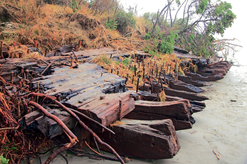 Some of the shipwreck&rsquo;s timbers were first revealed when the bank line eroded approximately 100 yards south of Warrenton Cannery Road in late December, 2009. COASTAL IMAGES|RON AREL