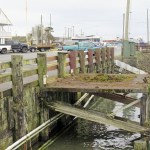 BARB AUE | SOUTH BEACH BULLETIN