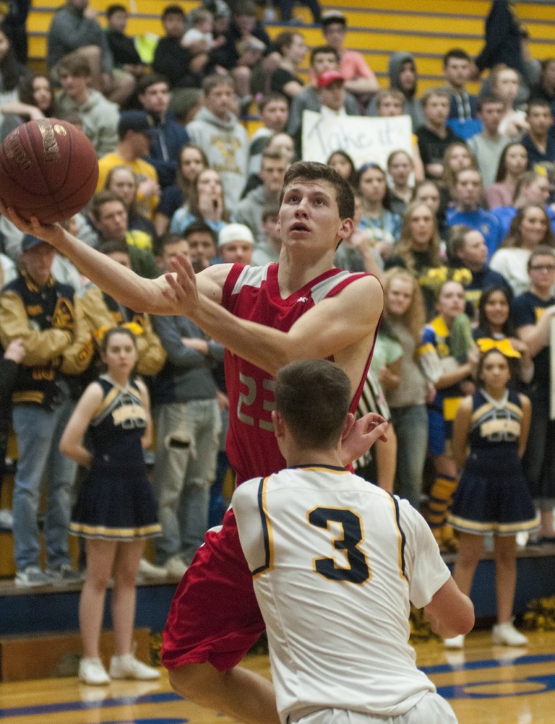 Bobcats burn the nets to roll Grizzlies