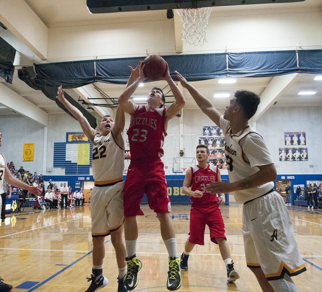 Bobcats burn the nets to roll Grizzlies