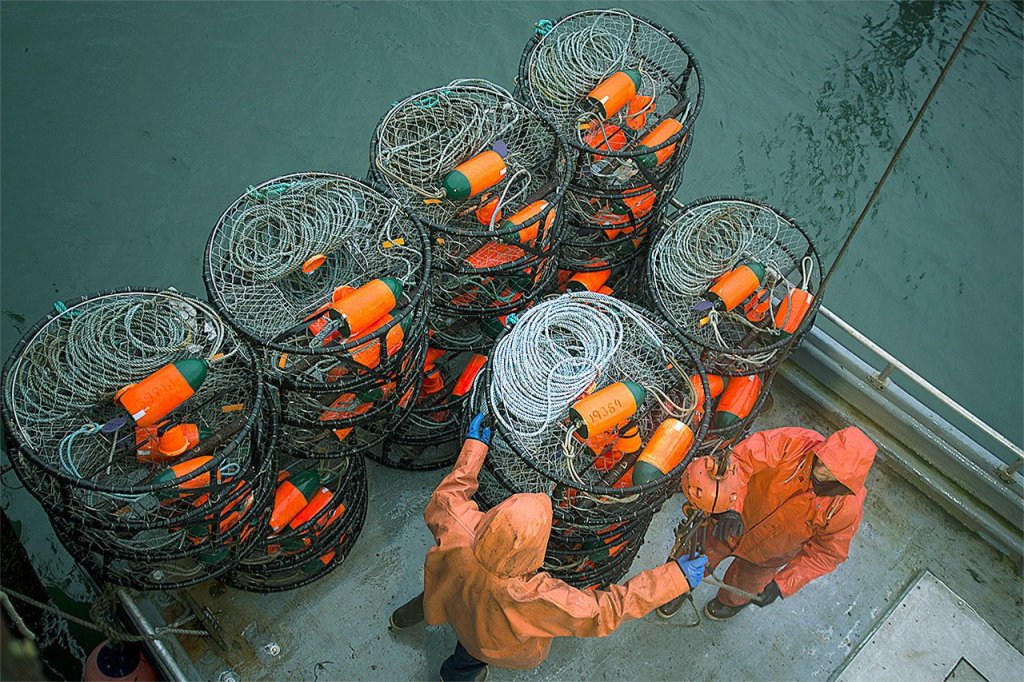 Dungeness crab fishermen on strike coastwide over buyer price reduction