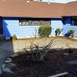 The garden area at Esther House. More work will be done on it as the weather warms up. Jennifer Chuks Nwokike wants to add some patio furniture. (Terri Harber|The Daily World)