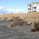 January storms that included high tides, wild waves and strong westerly winds caused major damage to a previous erosion fix completed in late February of last year in front of the Westport by the Sea condominium complex.                                 This month&rsquo;s fix followed much the same pattern as the first, with the exception of trucking in trees with trunk root structures intact, as opposed to using driftwood available on the beach in front of the condos the last time around. MARIANNE PENCE