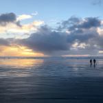 Some razor clam beaches will open for digging Feb. 23, and Fish and Wildlife has released a list of tentative digs through early April. This is Roosevelt Beach at Mocrocks just before low tide Feb. 10. (DAN HAMMOCK|THE DAILY WORLD)