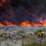 The Blue Cut fire burns near Wrightwood, Calif. on Aug. 17, 2016. (Irfan Khan/Los Angeles Times/TNS)