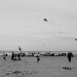 DAN HAMMOCK THE DAILY WORLD