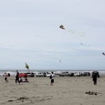 DAN HAMMOCK THE DAILY WORLD